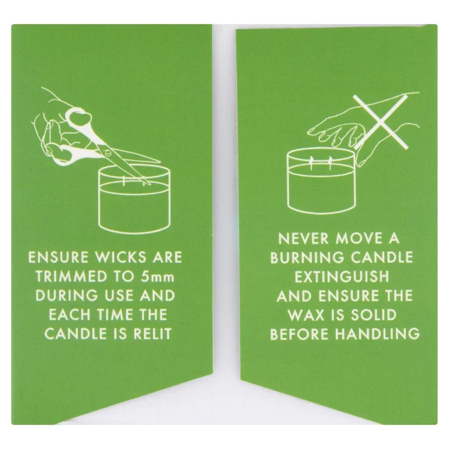 BX Earth Desert Lime & Coconut Soy Candle 300g