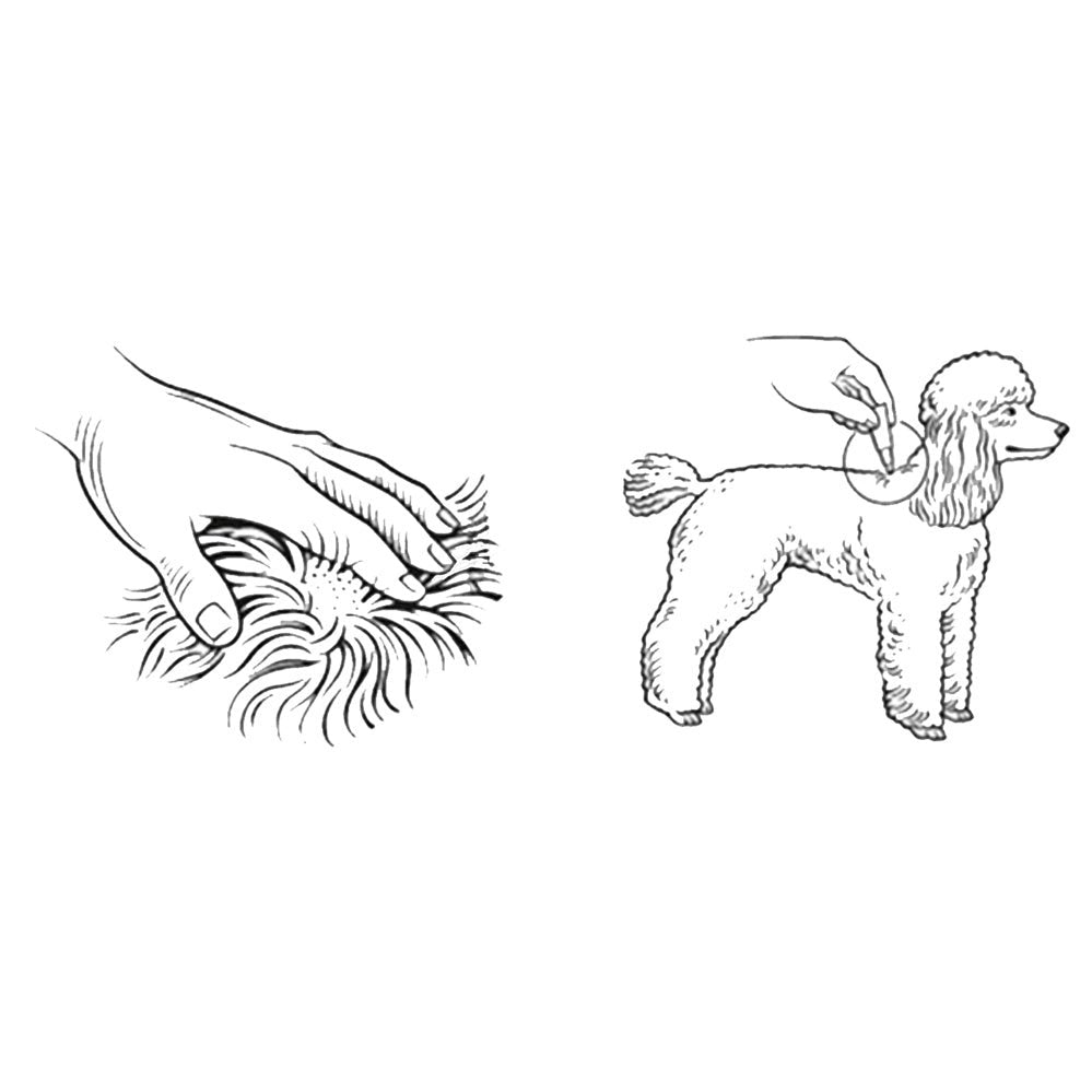 Advocate for Medium Dogs (4-10kg) - 3 Pack - Cutprice Online