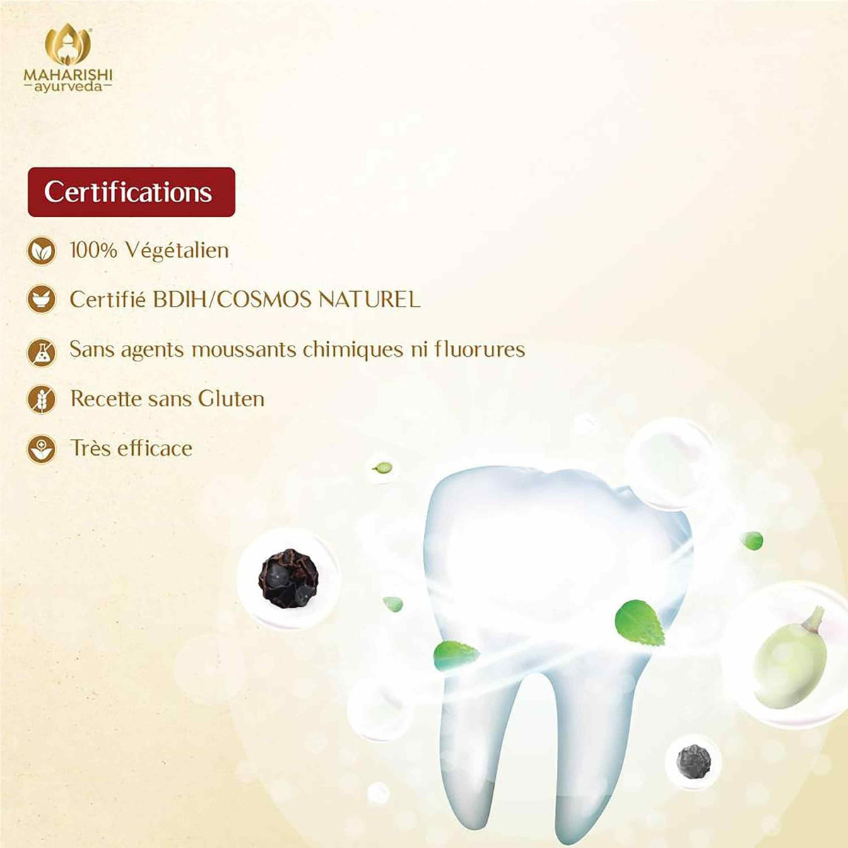 Maharishi Ayurveda Ayurdent Toothpaste Classic 75ml