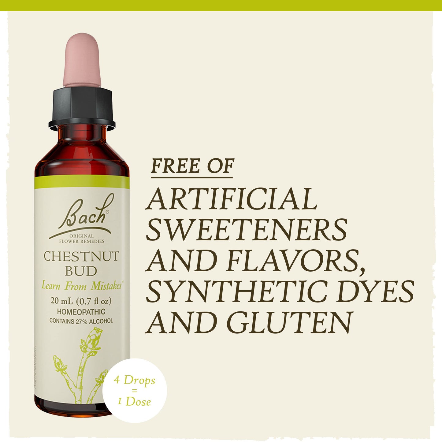 Bach Flower Remedies Chestnut Bud 20ml Bach Flower