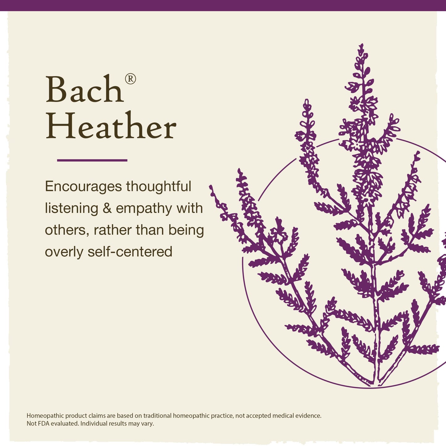 Bach Flower Remedies Heather 20ml Bach Flower