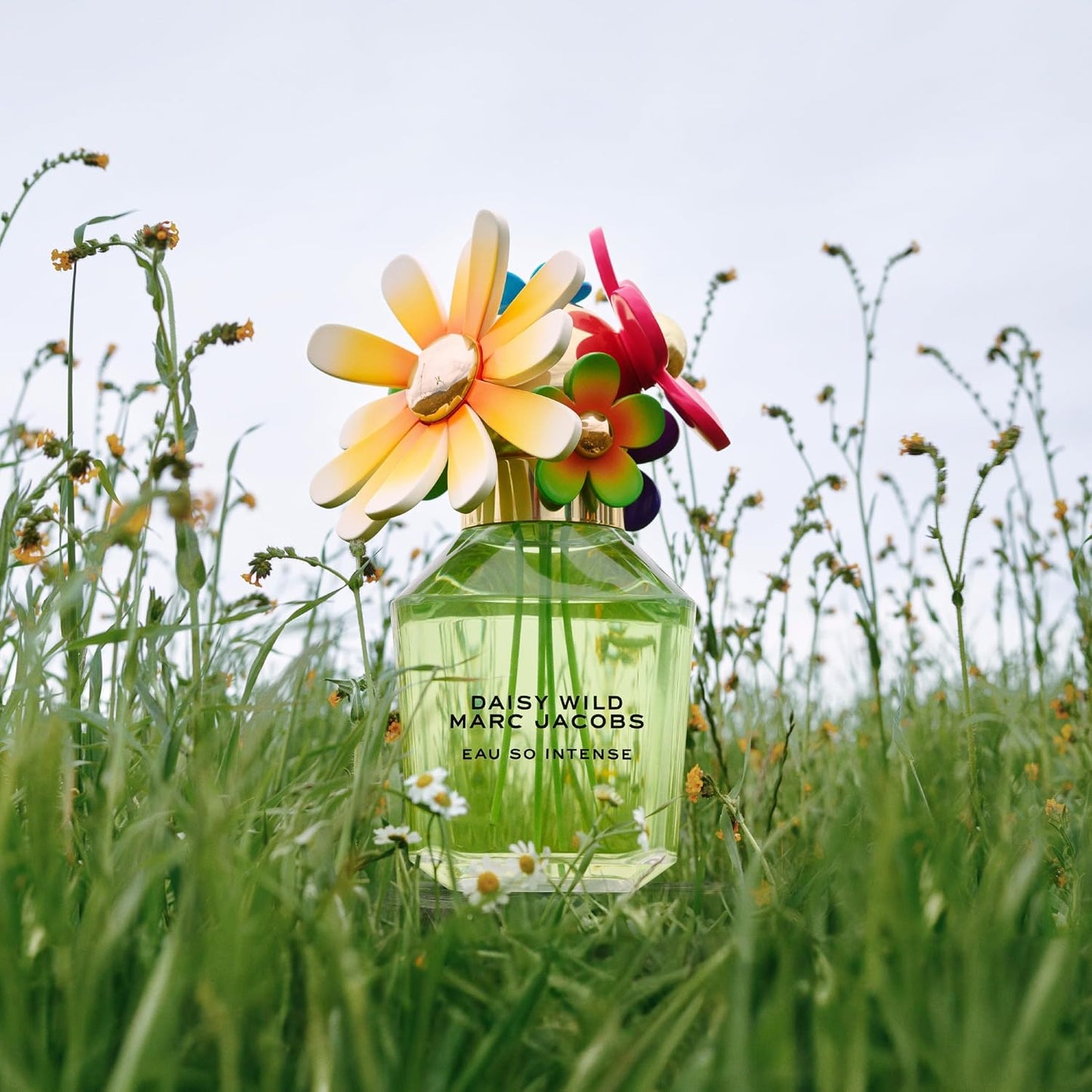 Marc Jacobs Daisy Wild Eau So Intense Edp 30ml