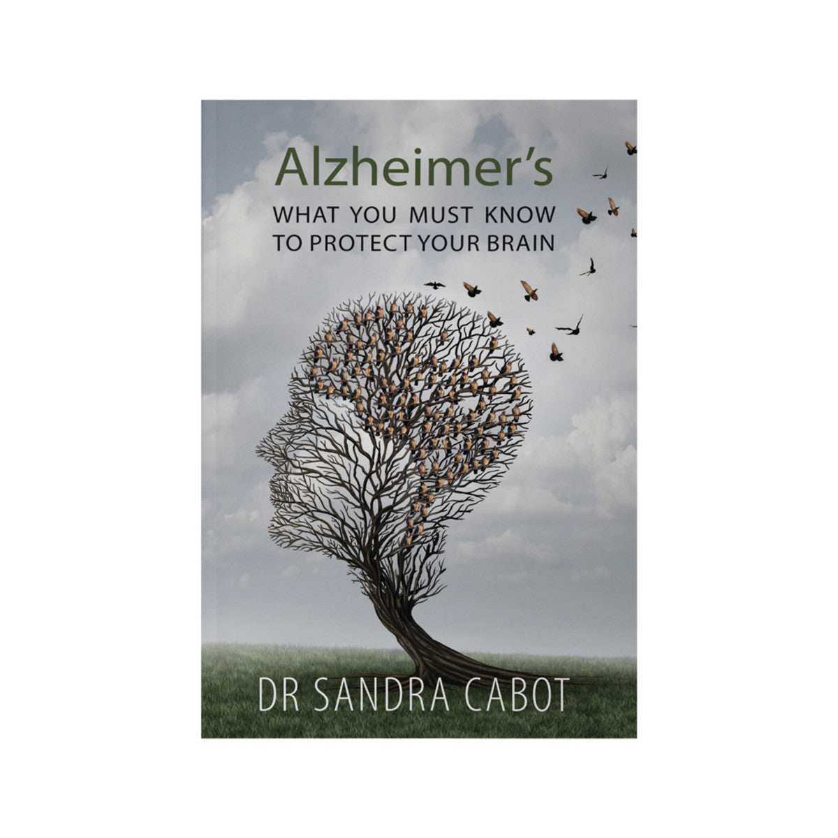 Alzheimer's: What You Must Know to Protect Your Brain by Dr Sandra Cabot - Cutprice Online