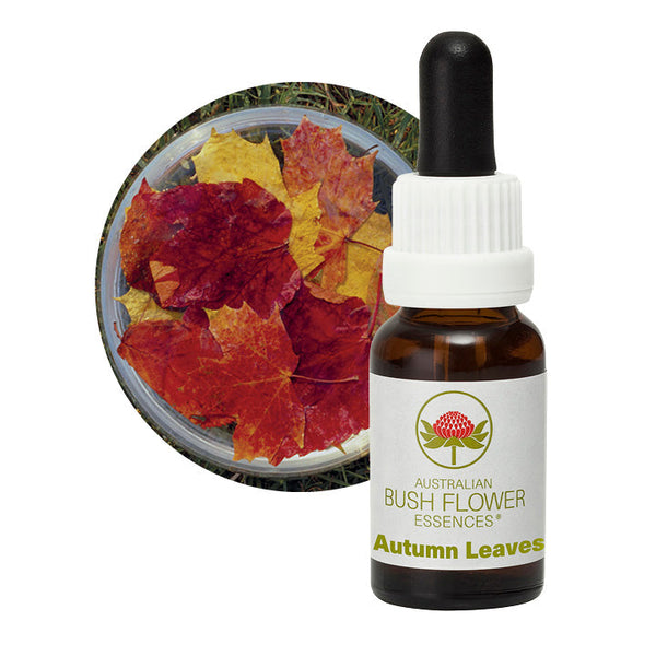 Australian Bush Flower Essences Autumn Leaves 15ml - Cutprice Online