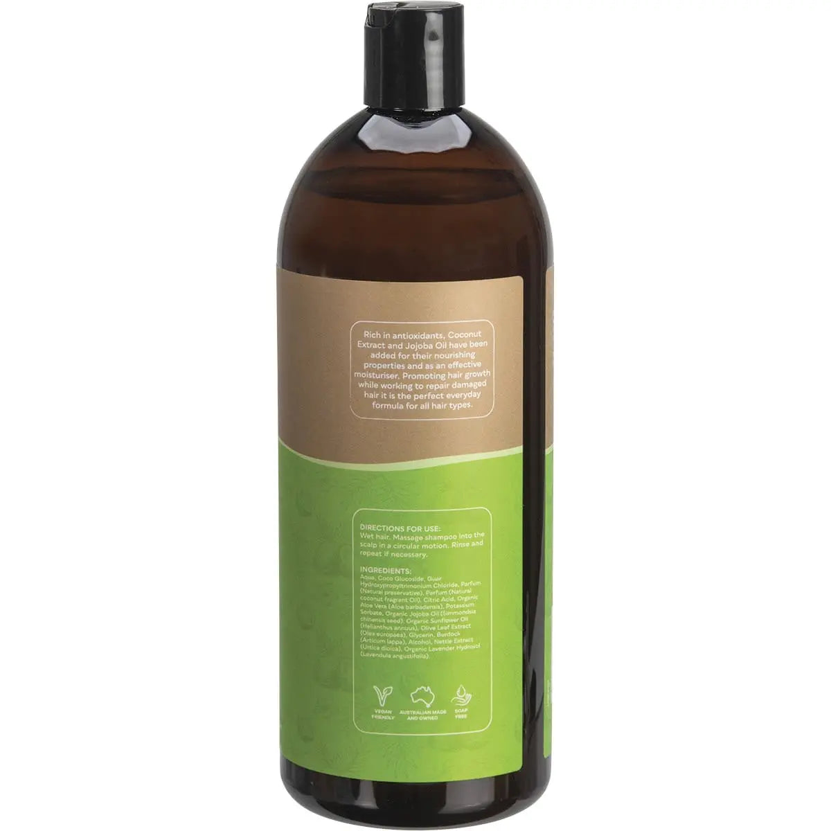 Biologika Shampoo Everyday - Coconut 1 Litre BIOLOGIKA