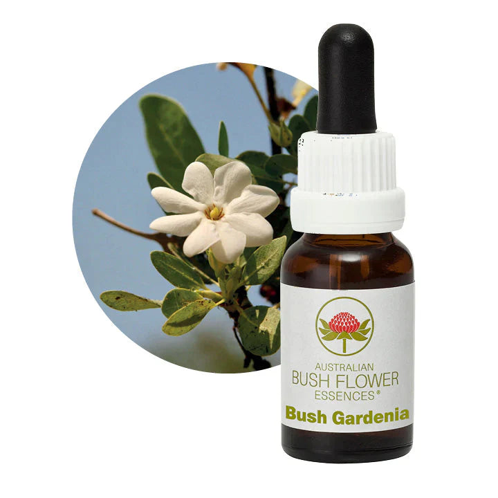Australian Bush Flower Essences Bush Gardenia 15ml - Cutprice Online