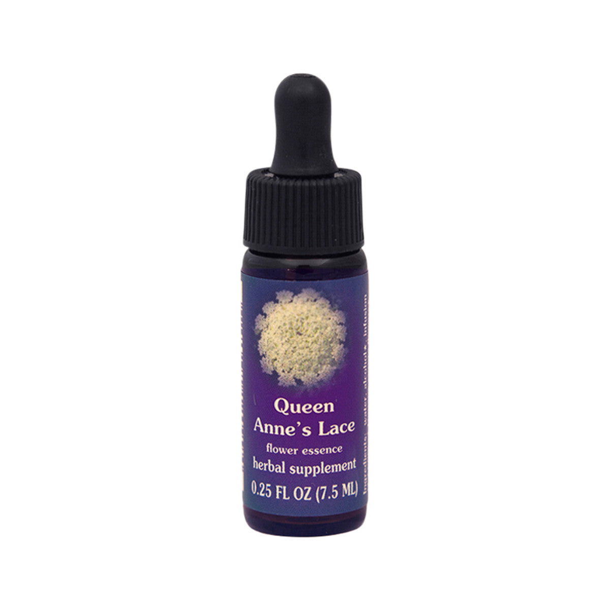 FES Organic Quintessentials Flower Essence Queen Anne's Lace 7.5ml - Cutprice Online