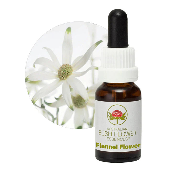 Australian Bush Flower Essences Flannel Flower 15ml - Cutprice Online
