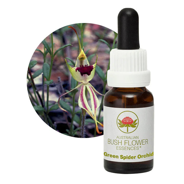 Australian Bush Flower Essences Green Spider Orchid 15ml - Cutprice Online