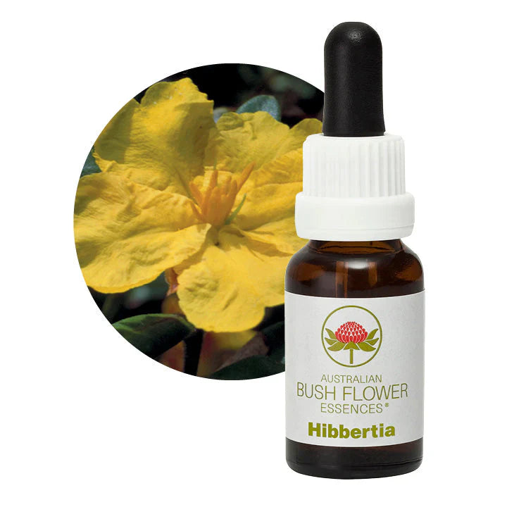 Australian Bush Flower Essences Hibbertia 15ml - Cutprice Online
