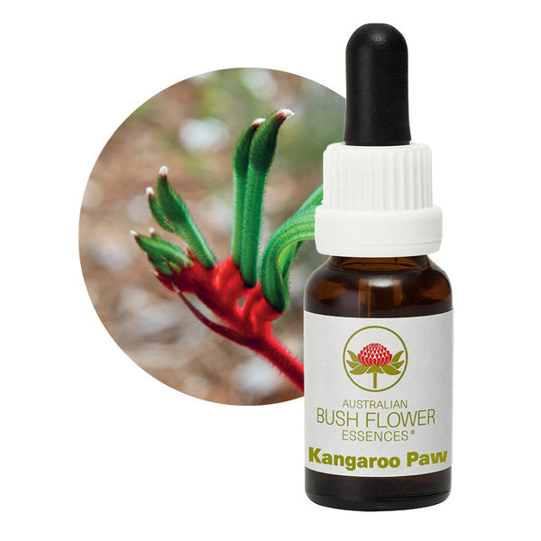 Australian Bush Flower Essences Kangaroo Paw 15ml - Cutprice Online