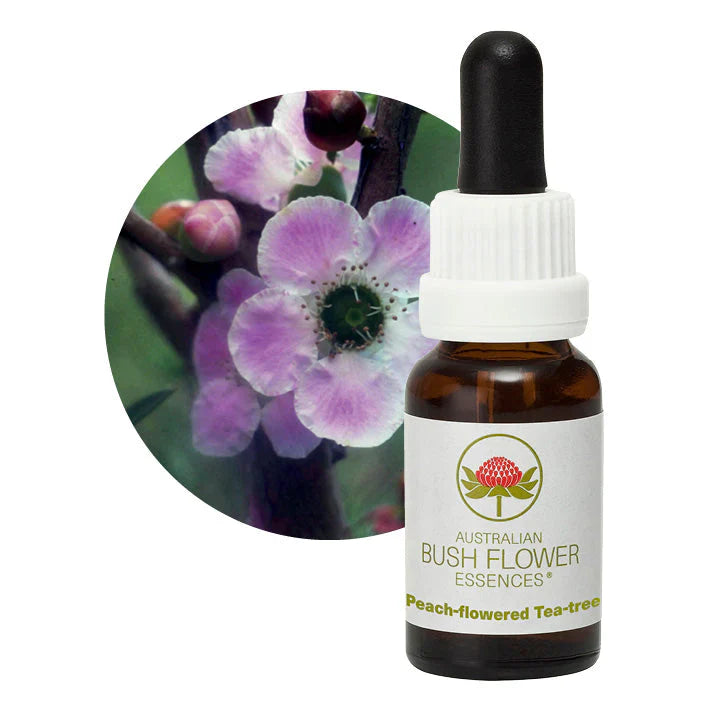 Australian Bush Flower Essences Peach Flowered Tea Tree 15ml - Cutprice Online