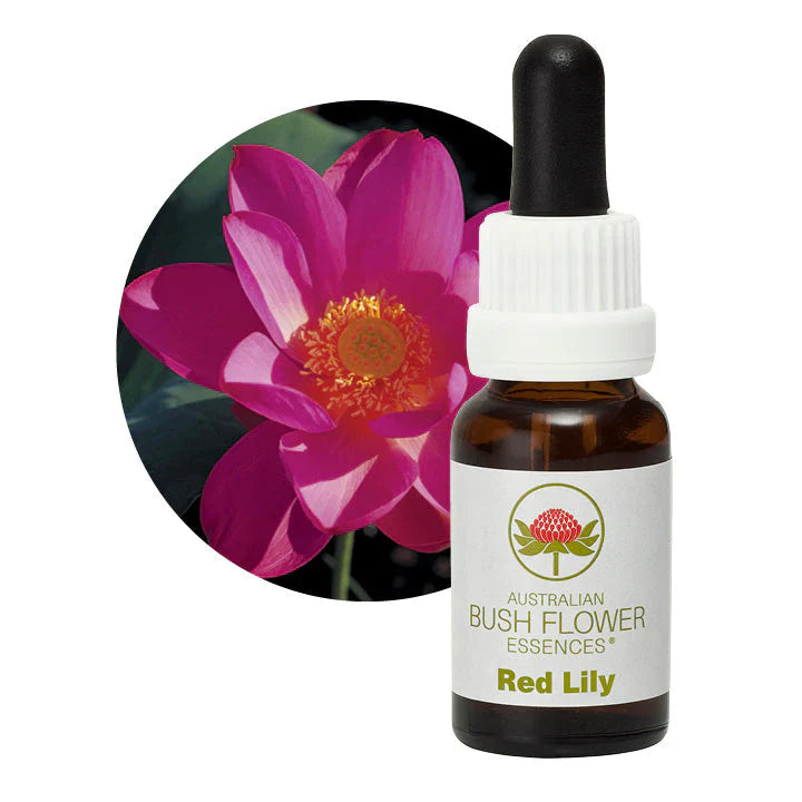 Australian Bush Flower Essences Red Lily 15ml - Cutprice Online