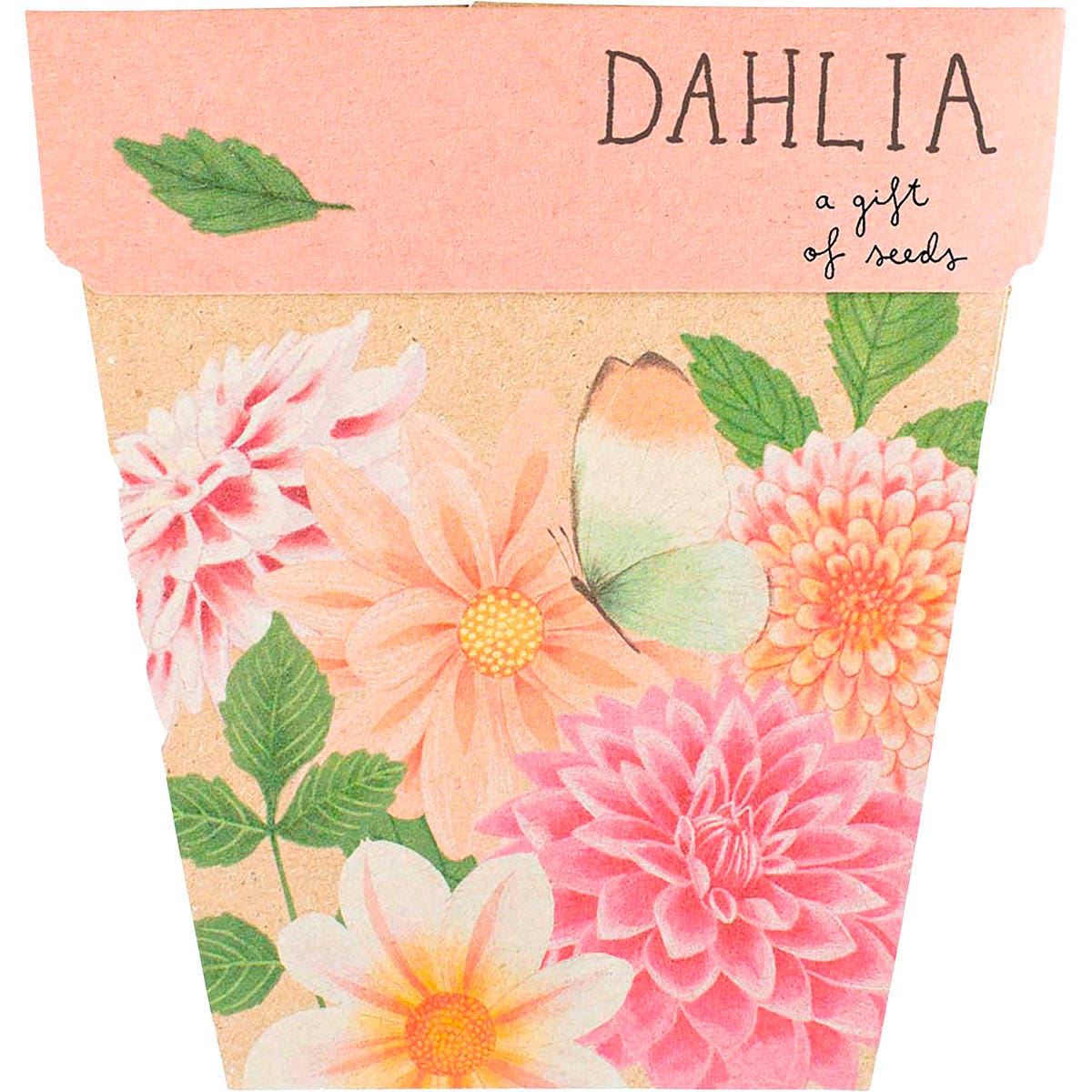 Sow 'n Sow Gift of Seeds Dahlia - Cutprice Online