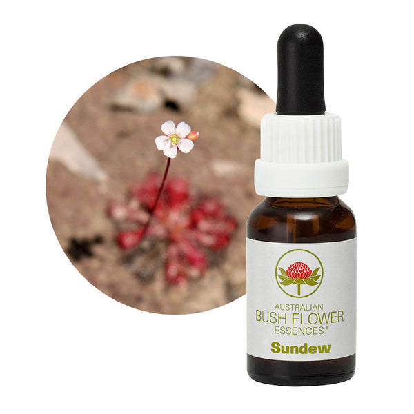 Australian Bush Flower Essences Sundew 15ml - Cutprice Online