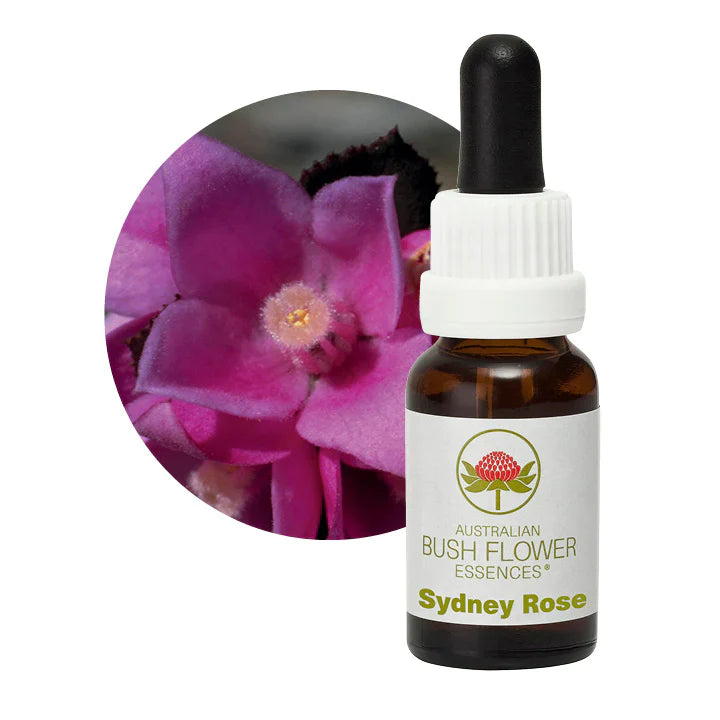 Australian Bush Flower Essences Sydney Rose 15ml - Cutprice Online