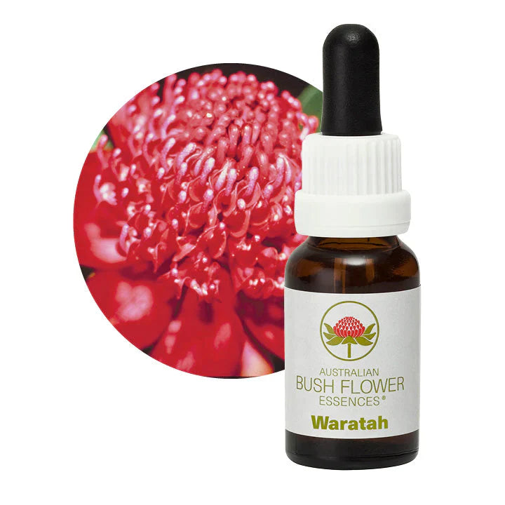 Australian Bush Flower Essences Waratah 15ml - Cutprice Online