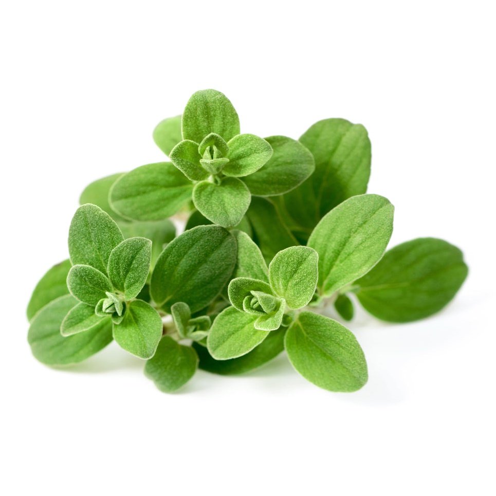 Ausganica Organic Essential Oil Marjoram Sweet 10ml - Cutprice Online