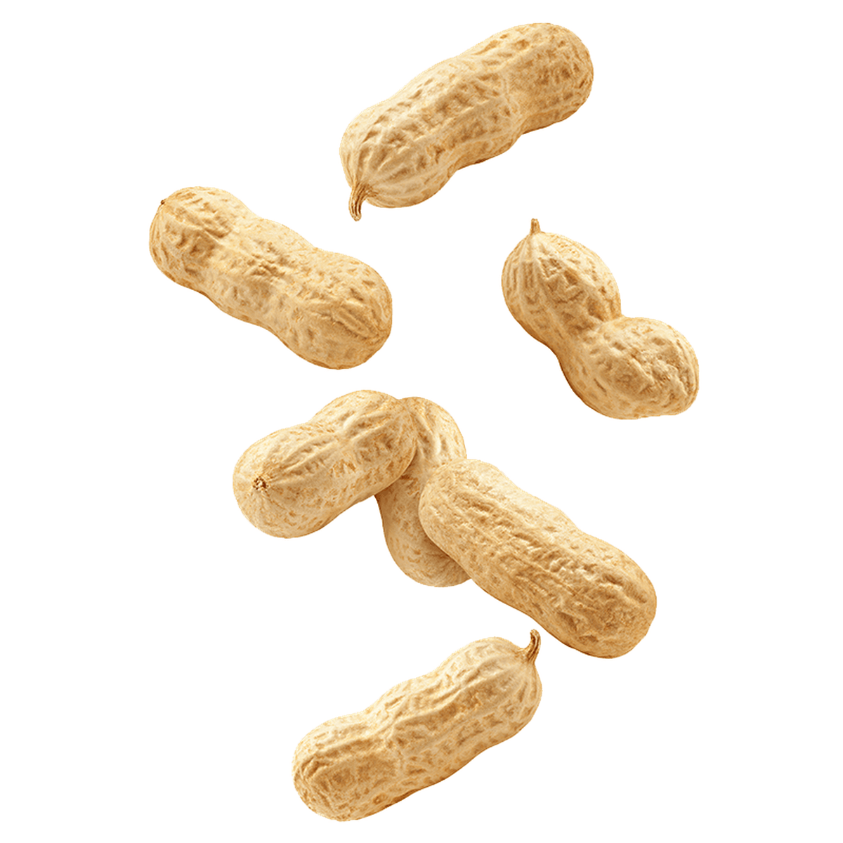 MACRO MIKE Peanut Plant Protein Choc Peanut Butter Cup 1kg