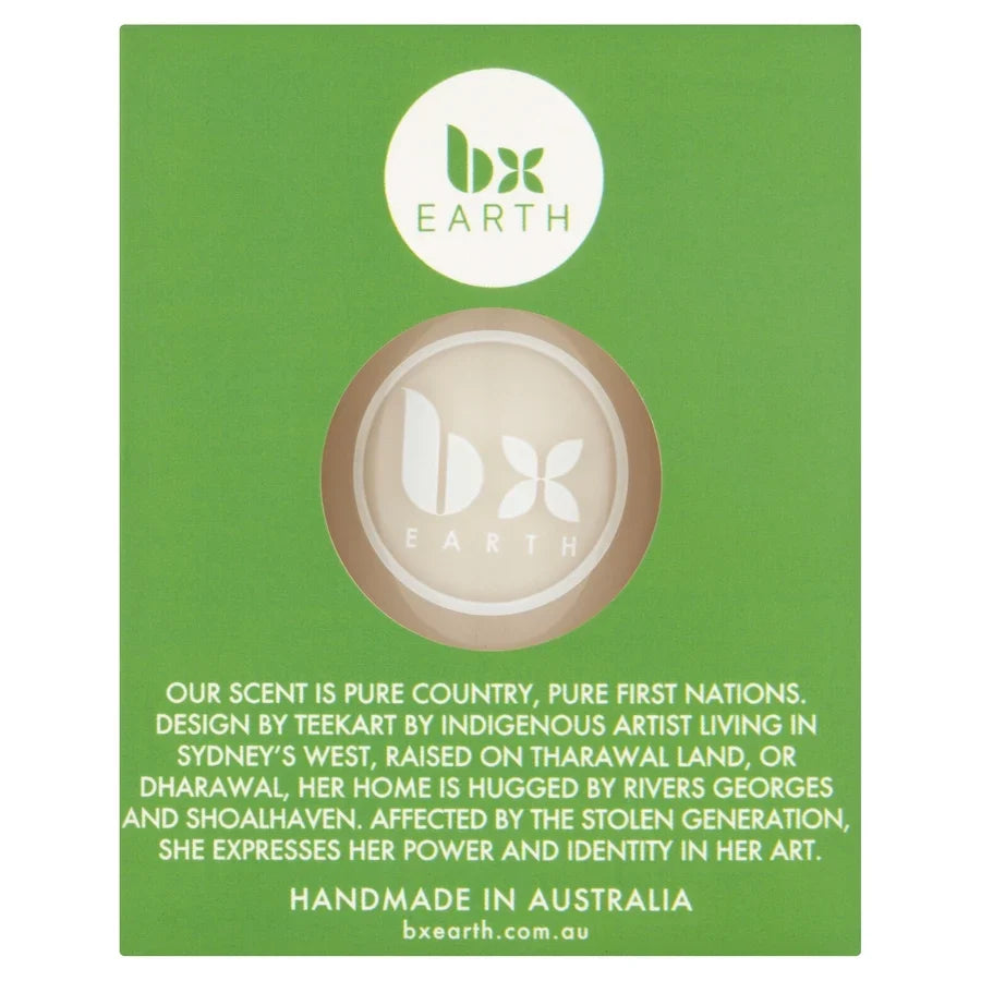 BX Earth Desert Lime & Coconut Soy Candle 300g