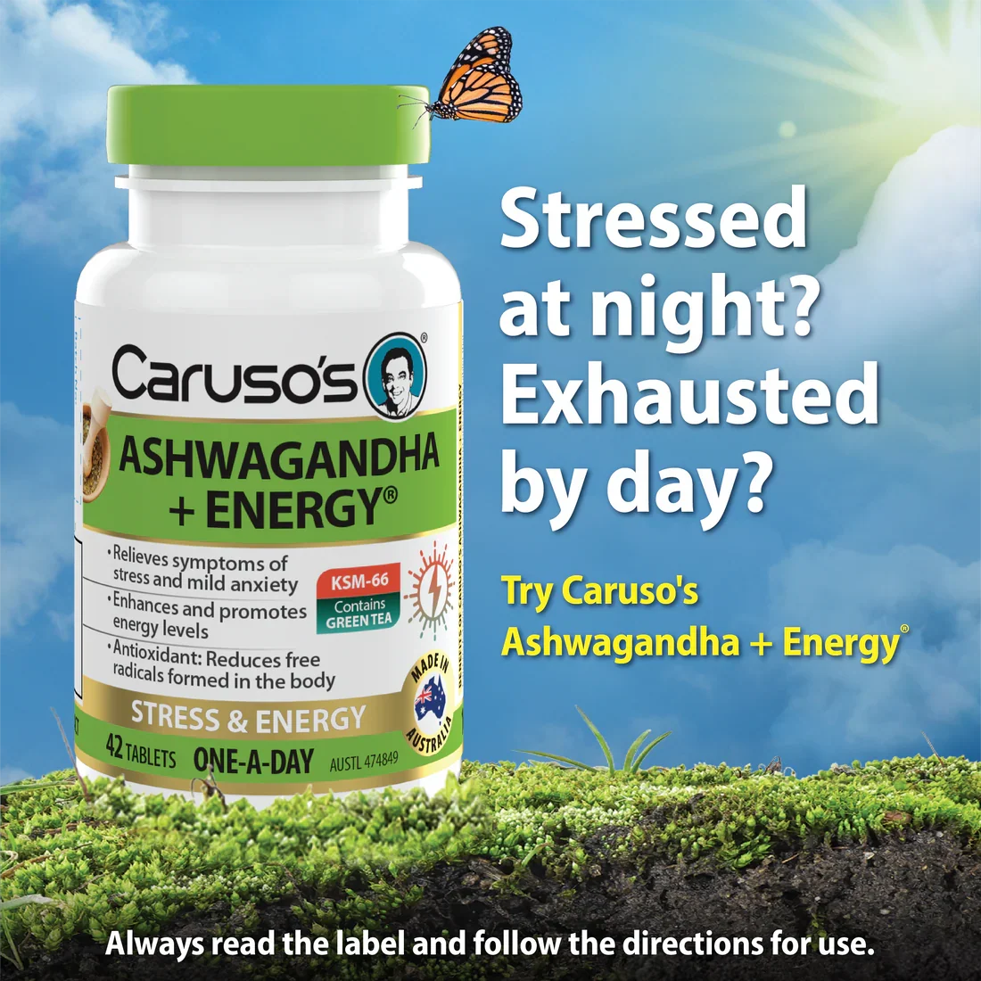 Caruso's Ashwagandha + Energy 42 Tablets