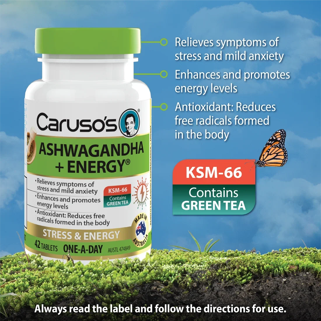 Caruso's Ashwagandha + Energy 42 Tablets