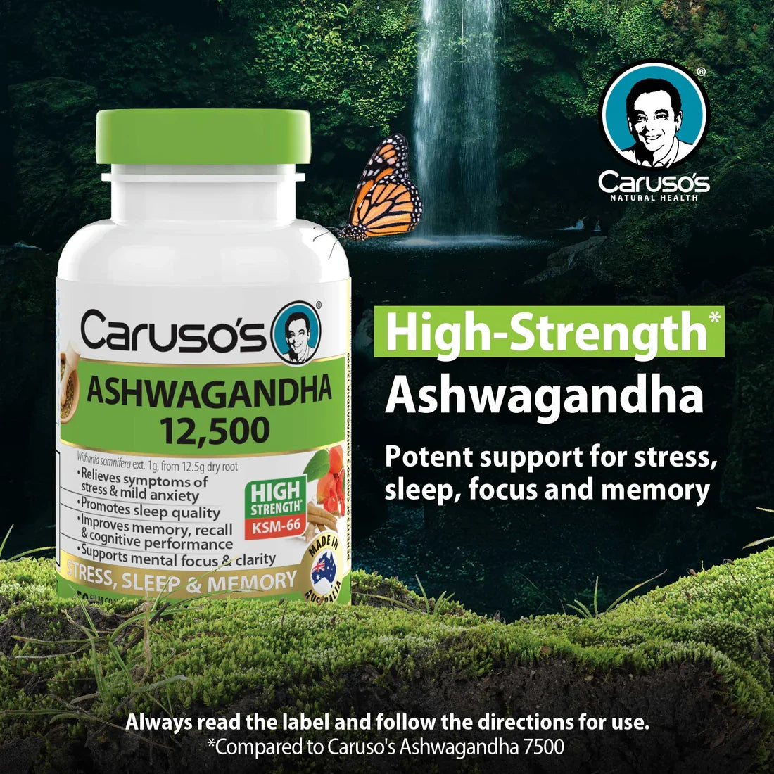 Caruso's Ashwagandha 12,500 50 Tablets
