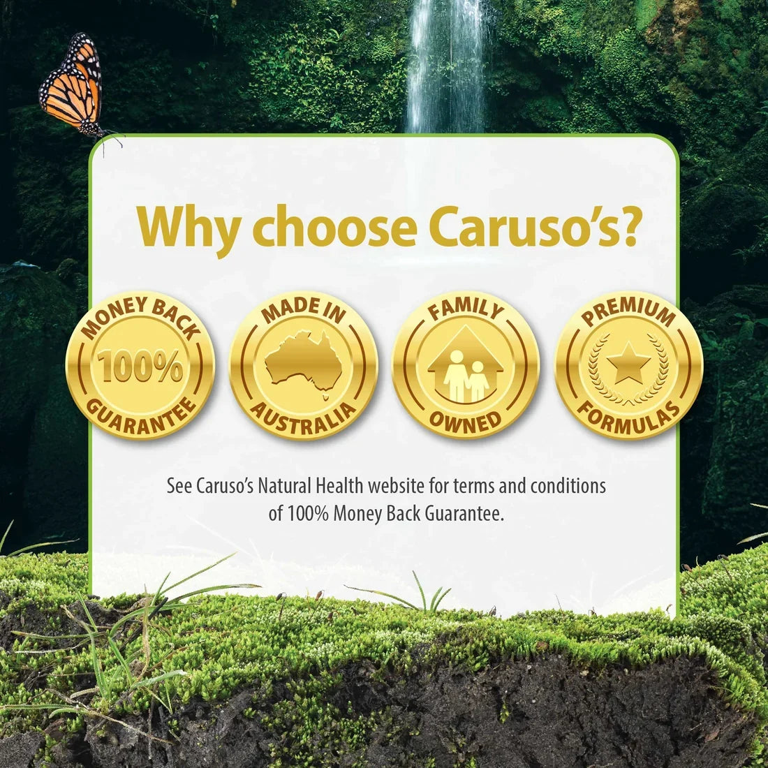 Caruso's Ashwagandha 12,500 50 Tablets