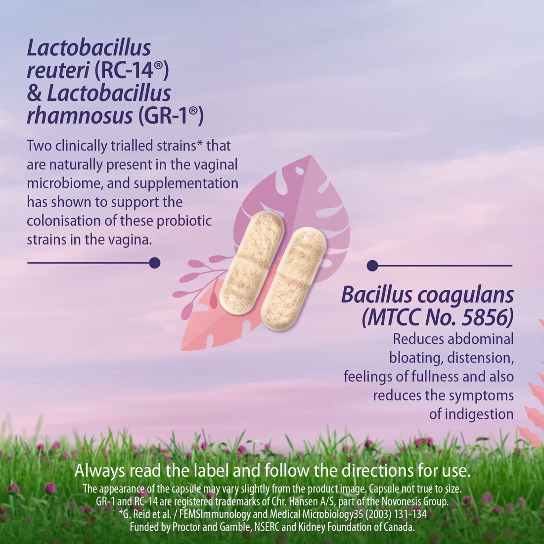 Caruso's Vaginal Care Probiotic 60 Caps