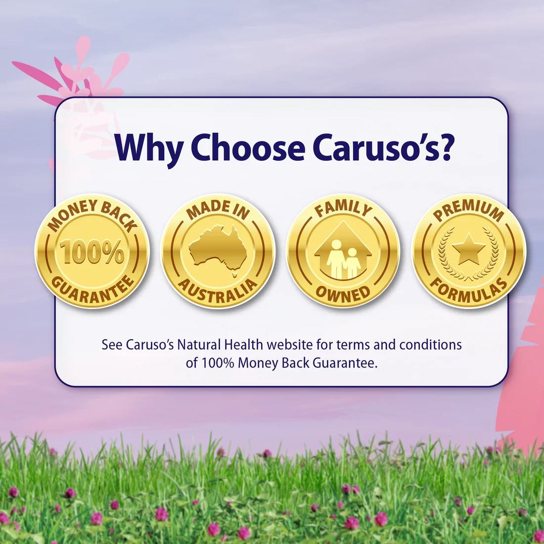 Caruso's Vaginal Care Probiotic 60 Caps