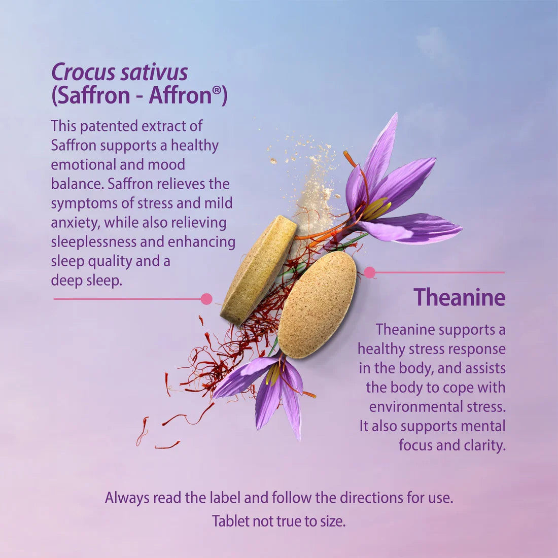 Caruso's Saffron + L-Theanine 30 Tabs