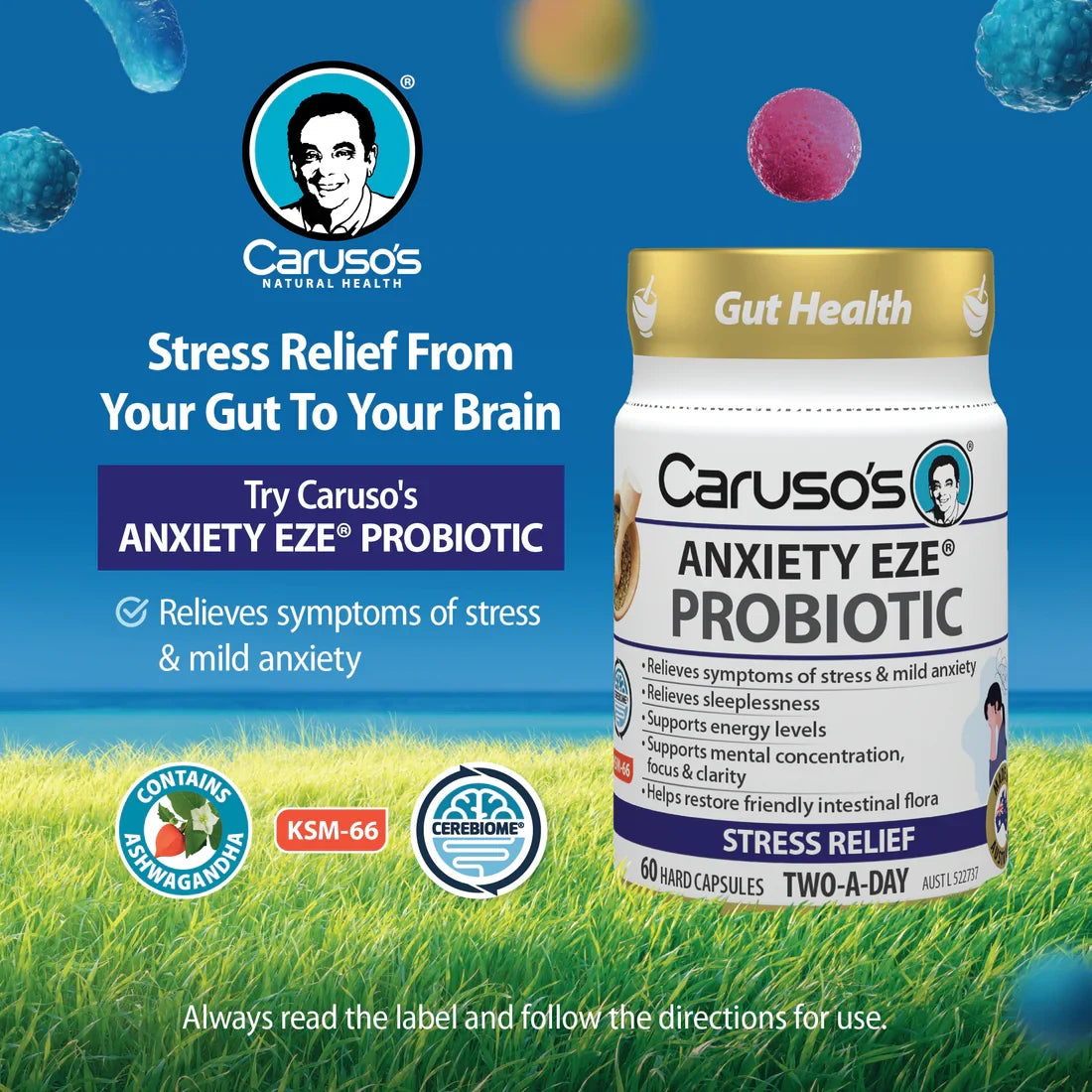 Caruso's Anxiety EZE Probiotic 60 Caps
