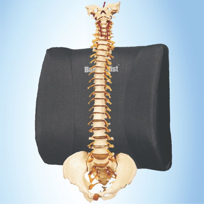 Body Assist Deluxe Back Rest Cushion - Cutprice Online
