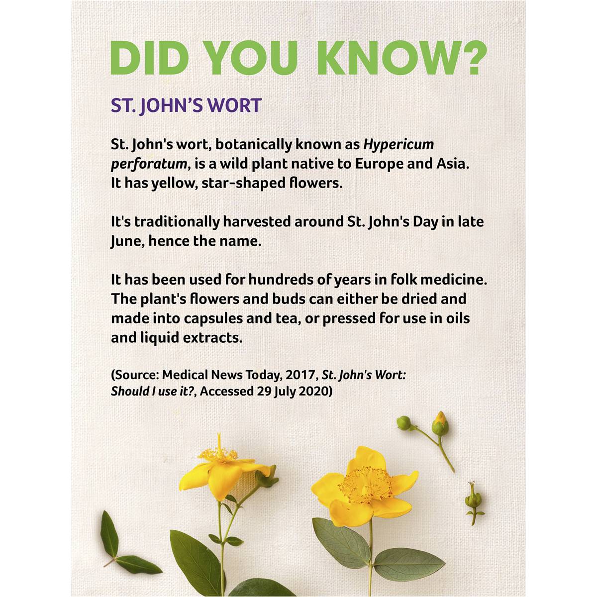 Cenovis St John's Wort 60 Tablets - Cutprice Online