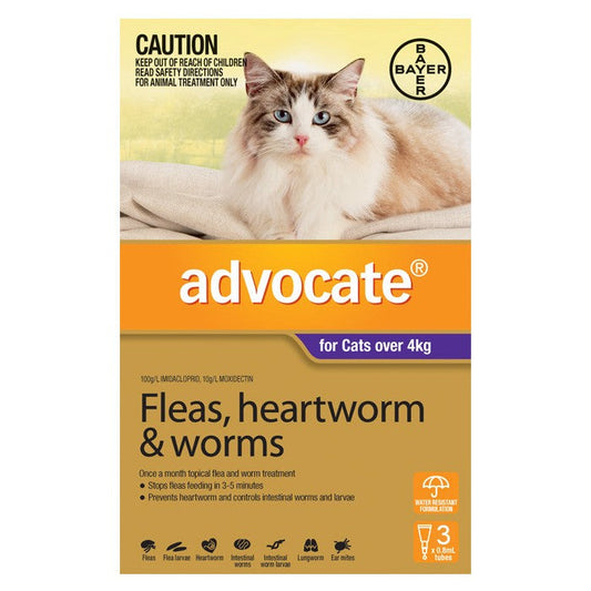 Advocate for Large Cats (Over 4kg) - 6 Pack - Cutprice Online