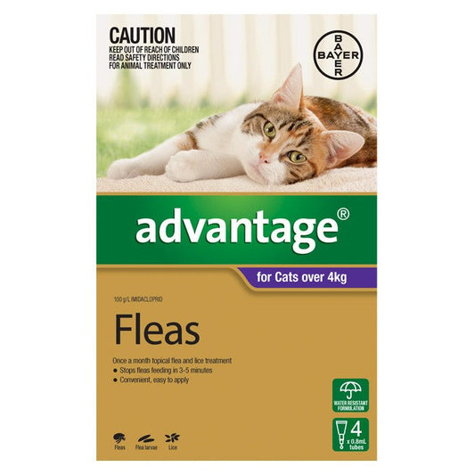 Advantage for Large Cats (Over 4kg) - 4 Pack - Cutprice Online