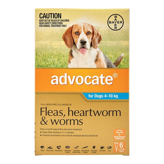 Advocate for Medium Dogs (4-10kg) - 3 Pack - Cutprice Online