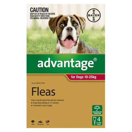 Advantage for Large Dogs (10-25kg) - 4 Pack - Cutprice Online