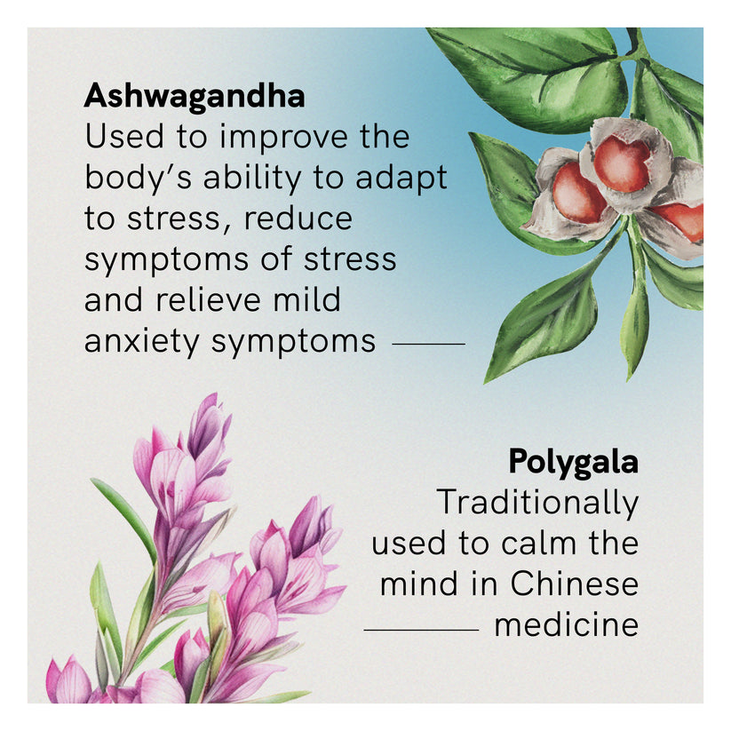 Fusion Health Stress & Anxiety 120t