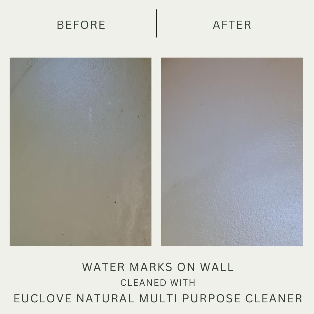 Euclove Multi-purpose Cleaner Spray 500ml - Cutprice Online