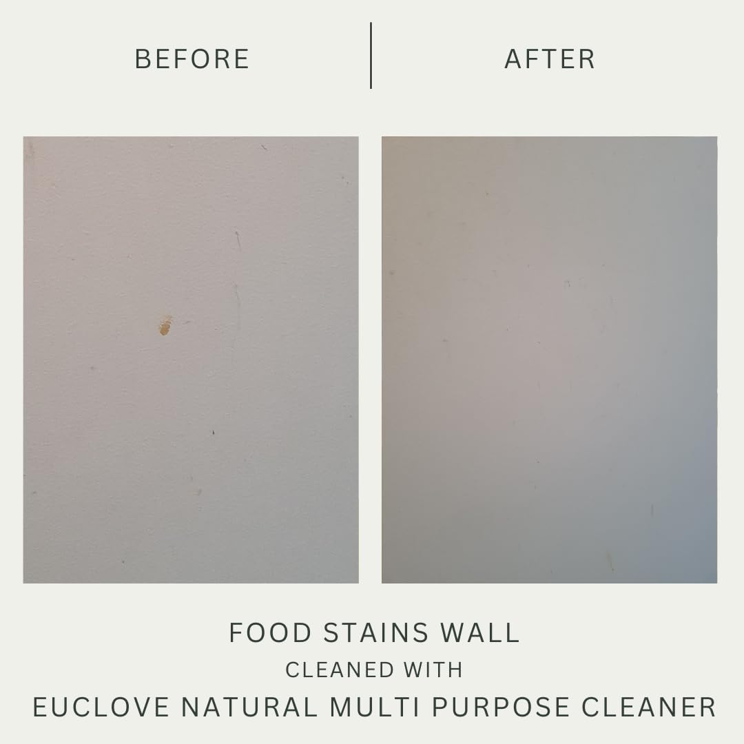 Euclove Multi-purpose Cleaner Spray 500ml - Cutprice Online