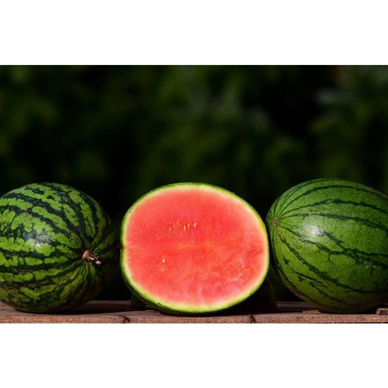 Clover Fields Natures Gifts Plant Based Soap Watermelon 100g - Cutprice Online