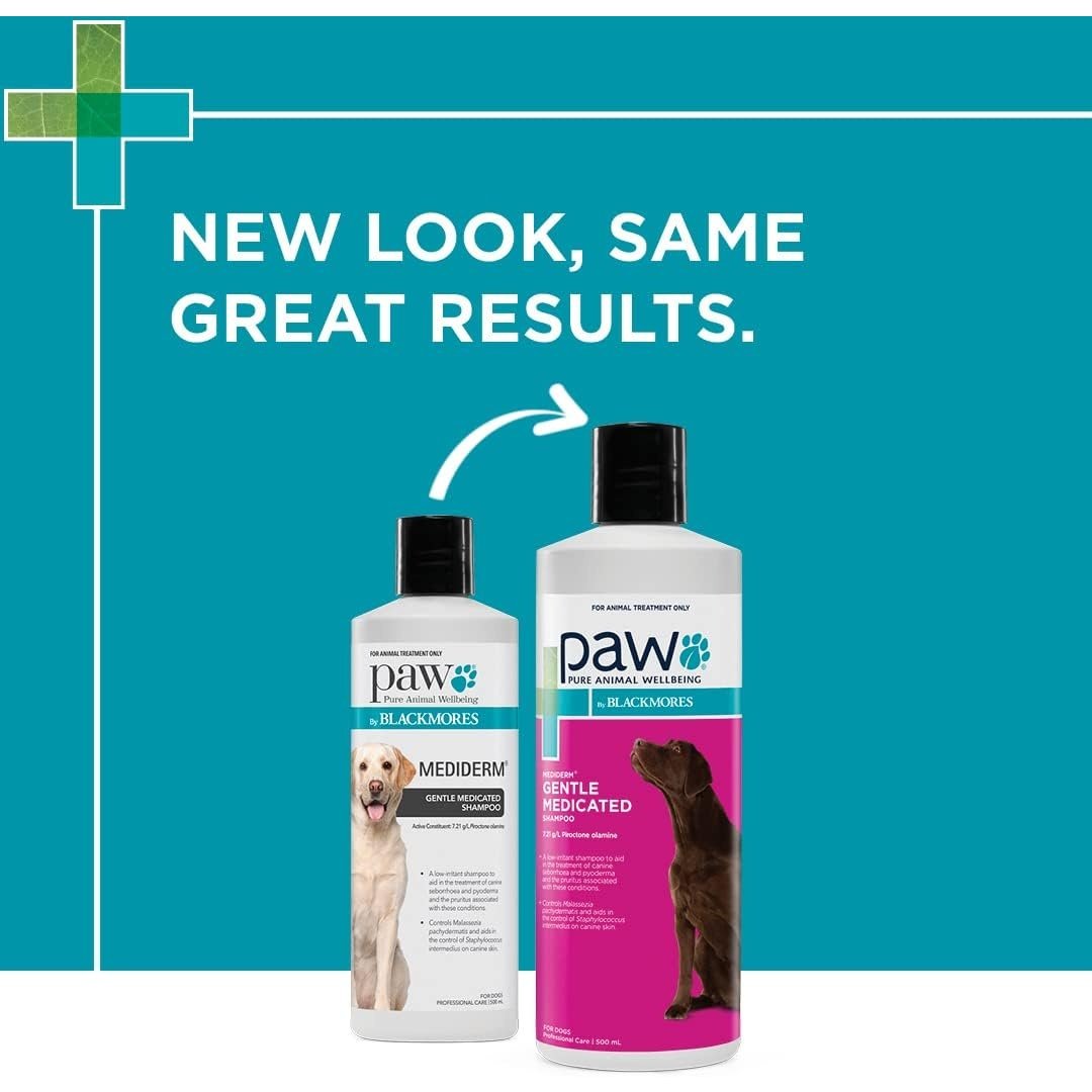 PAW By Blackmores MediDerm Gentle Medicated Shampoo (For Dogs) 500ml - Cutprice Online