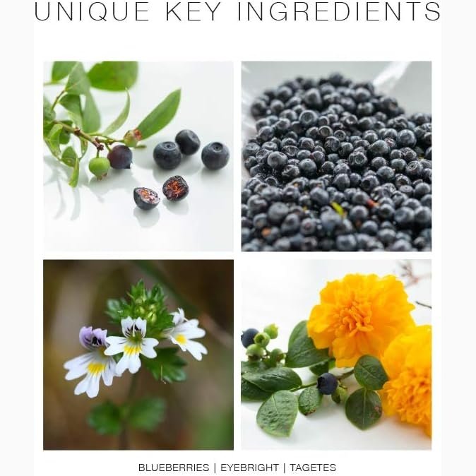 New Nordic Blue Berry Eyebright 60t - Cutprice Online