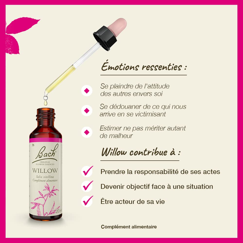 Bach Flower Remedies Willow 20ml Bach Flower