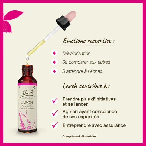 Bach Flower Remedies Larch 20ml Bach Flower