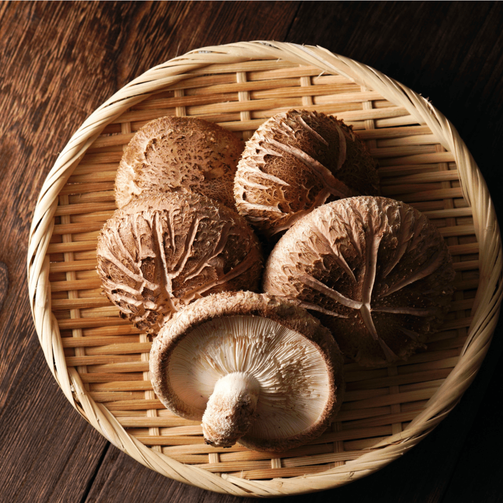 Life Cykel Shiitake Double Extract 120ml