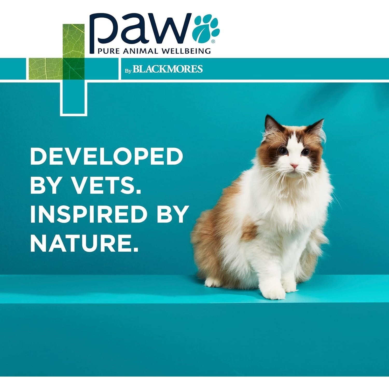 PAW By Blackmores OsteoSupport Joint Care (Powder For Cats) 60c - Cutprice Online