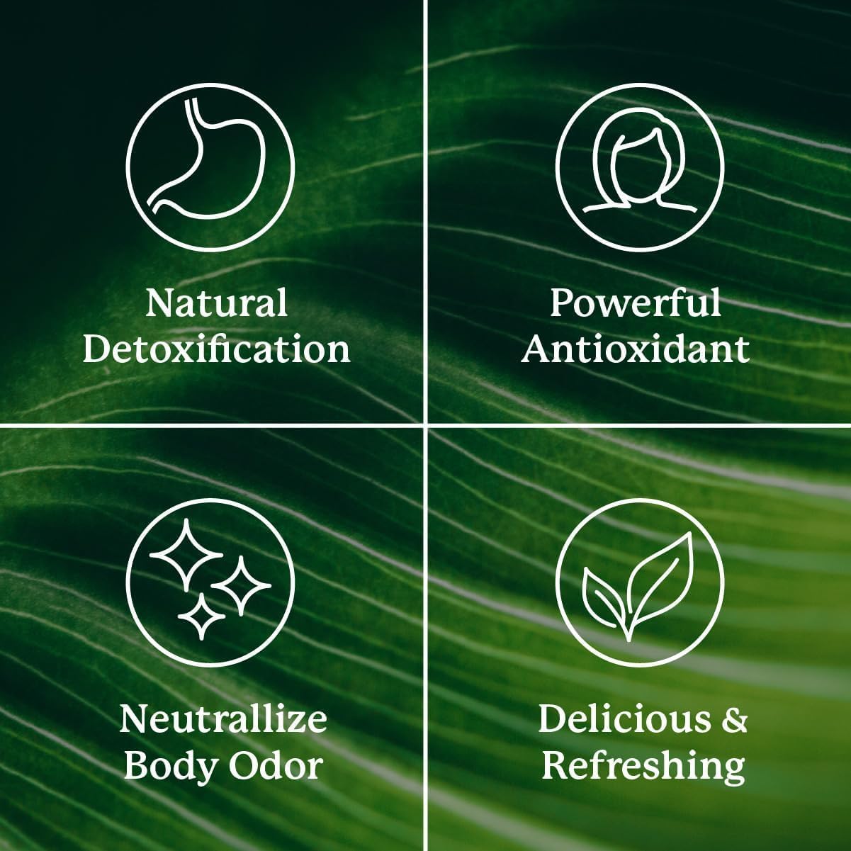 Nature's Sunshine Chlorophyll Detoxifying Melon 30s - Cutprice Online