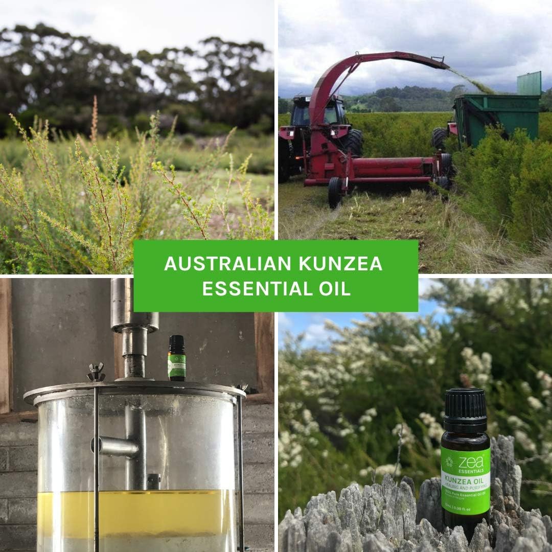 Zea Essentials 100% Pure Essential Oil Kunzea (Healing and Purifying) 10ml - Cutprice Online